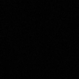 Meet your Posher, Randee